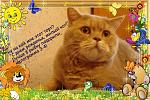     
: e741f4d14f57.jpg
: 8
:	66.0 
ID:	4647176