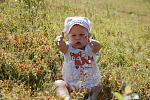     
: DSC_2956.jpg
: 7
:	219.8 
ID:	4647397