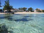    
: jamaica 278.jpg
: 13
:	175.7 
ID:	4649330