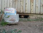     
: IMG_62051.jpg
: 6
:	93.9 
ID:	4649444