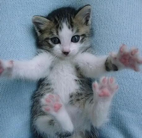     
: BigHug1.jpg
: 2
:	40.7 
ID:	4649951