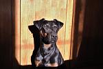     
: DSC_0379.jpg
: 27
:	105.0 
ID:	4650446