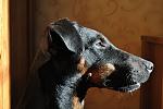     
: DSC_0389.jpg
: 26
:	120.6 
ID:	4650448