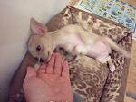     
: DSC01870.jpg
: 10
:	114.1 
ID:	4662111