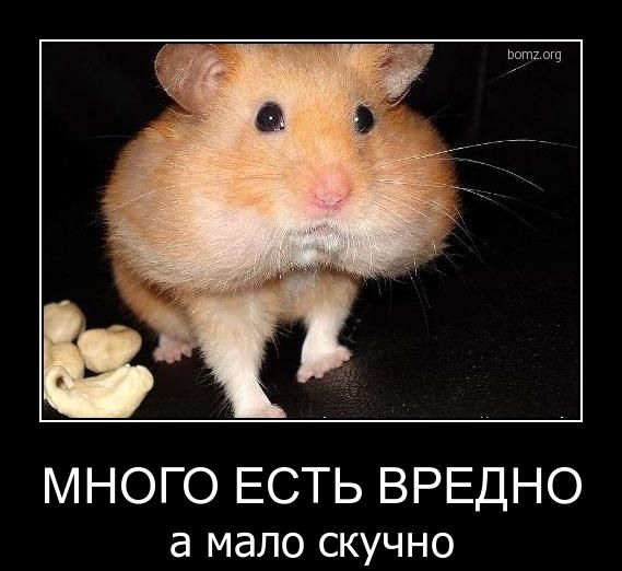    
: 0_4ef1c_c4b1e0ac_XL.jpg
: 1
:	49.3 
ID:	4662538