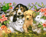     
: 938366877.gif
: 38
:	122.8 
ID:	4663005