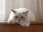     
: IMG_8582.jpg
: 17
:	61.8 
ID:	4663211