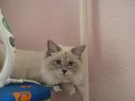     
: IMG_8650.jpg
: 24
:	86.3 
ID:	4663251