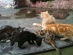     
: IMG_0656.jpg
: 187
:	148.0 
ID:	4663786