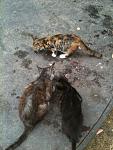     
: IMG_0659.jpg
: 207
:	111.2 
ID:	4663797