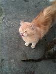     
: IMG_0658.jpg
: 207
:	89.0 
ID:	4663811