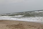     
: IMG_1545.jpg
: 17
:	113.0 
ID:	4666106