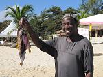     
: jamaica 253.jpg
: 22
:	170.7 
ID:	4667307