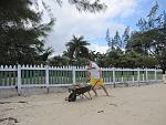     
: jamaica 193.jpg
: 20
:	176.1 
ID:	4667342