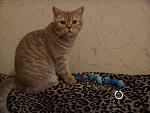     
: DSC01943.JPG
: 44
:	267.8 
ID:	466810