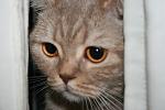    
: IMG_0010.jpg
: 43
:	194.9 
ID:	466812