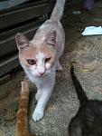     
: IMG_0668.jpg
: 160
:	111.1 
ID:	4668317