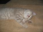     
: IMG_4366.jpg
: 41
:	263.8 
ID:	466857