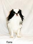     
: untitled.jpg
: 16
:	64.0 
ID:	4673492