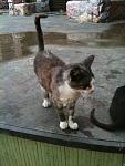    
: IMG_0655.jpg
: 129
:	98.0 
ID:	4673847