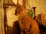     
: P7192540.JPG
: 15
:	149.2 
ID:	4673974