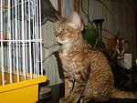     
: P7192528.JPG
: 9
:	163.9 
ID:	4673975