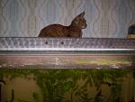     
: P7192501.JPG
: 8
:	159.3 
ID:	4673976
