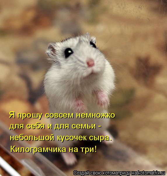     
: 8N.jpg
: 3
:	45.2 
ID:	4674001