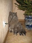     
: Изображение 008.jpg
: 6
:	113.3 
ID:	4674369
