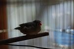     
: DSC_0799.jpg
: 8
:	55.3 
ID:	4677096