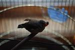     
: DSC_0800.jpg
: 7
:	60.2 
ID:	4677097