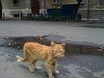     
: IMG_0459.jpg
: 6
:	127.2 
ID:	4677785
