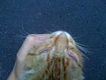     
: IMG_0460.jpg
: 5
:	149.6 
ID:	4677786