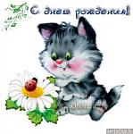     
: др.jpg
: 4
:	8.5 
ID:	4679504
