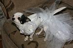     
: IMG_7895.jpg
: 25
:	124.6 
ID:	4680135