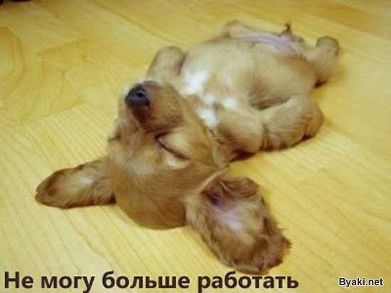     
: 1233169471_rrrisrrrirrrirrrirrrir.jpg
: 2
:	28.8 
ID:	4681390
