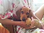     
: 20120813_161038.jpg
: 7
:	99.9 
ID:	4681884