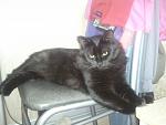     
: 2012-08-16 07.09.53.jpg
: 3
:	86.6 
ID:	4684410