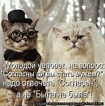     
: x_d898e508.jpg
: 9
:	61.9 
ID:	4684695