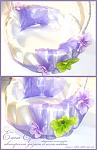     
: Untitled-1.jpg
: 4
:	59.8 
ID:	4692561