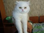     
: 3df286b2d31f_500.jpg
: 6
:	38.7 
ID:	4696990