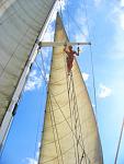     
: IMG_9276.jpg
: 16
:	159.4 
ID:	4698749