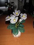     
: Юленька 1359.jpg
: 13
:	104.4 
ID:	4698953