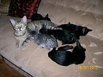     
: 100_4165.jpg
: 19
:	153.2 
ID:	4702600