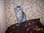     
: 100_4179.jpg
: 17
:	185.5 
ID:	4702712