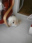     
: P8180151.jpg
: 16
:	50.9 
ID:	4702904