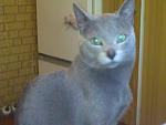     
: 17022010286.jpg
: 13
:	71.6 
ID:	4703114