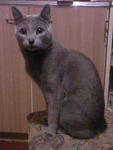     
: SPM_A0235.jpg
: 11
:	19.8 
ID:	4703150