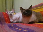     
: DSC_0282.jpg
: 8
:	131.4 
ID:	4704501