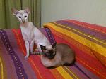     
: DSC_0286.jpg
: 8
:	120.5 
ID:	4704507
